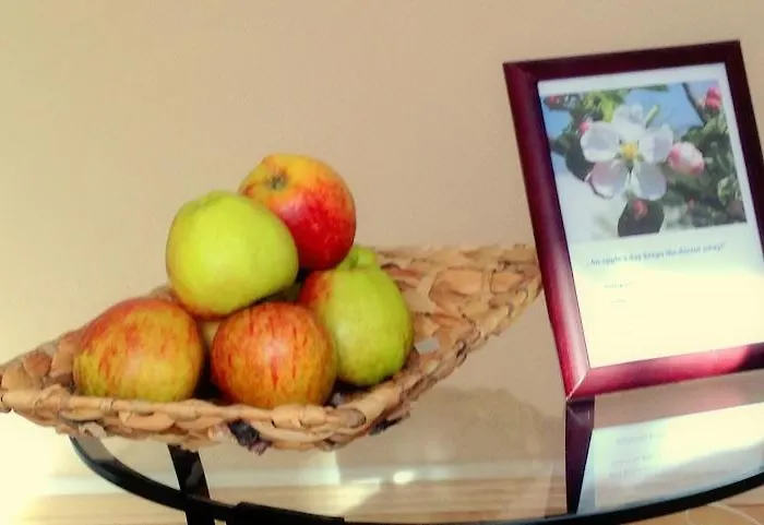 Keiner Bed & Breakfast